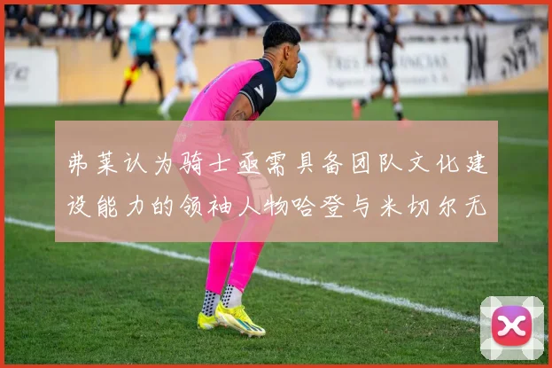 弗莱认为骑士亟需具备团队文化建设能力的领袖人物哈登与米切尔无法胜任