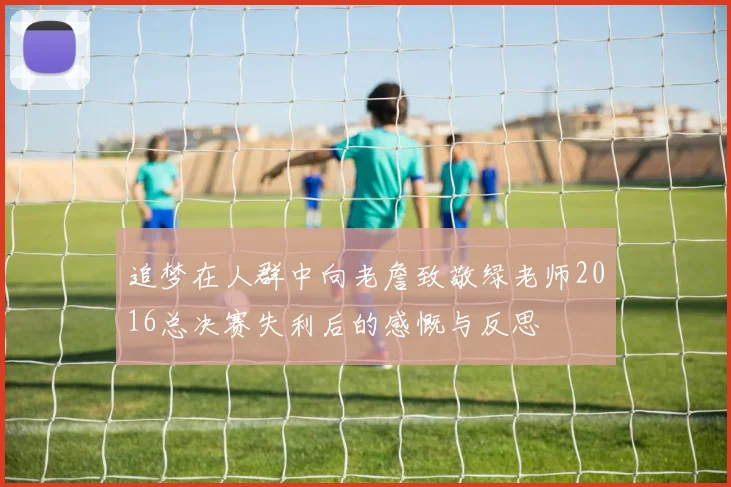 追梦在人群中向老詹致敬绿老师2016总决赛失利后的感慨与反思