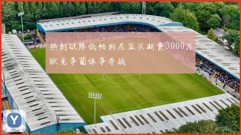 热刺欲降低帕利尼亚买断费3000万欧竞争葡体争夺战